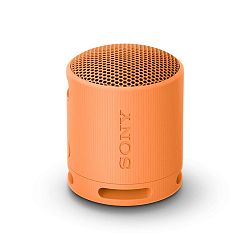Sony SRS-XB100 Prenosný bezdrôtový reproduktor, oranžová