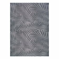 Sivý vonkajší koberec Universal Palm, 100 x 150 cm
