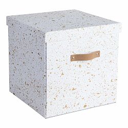 Svetlosivá úložná škatuľa Bigso Box of Sweden Logan