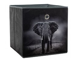 Úložný box Alfa, motív slon v divočine%